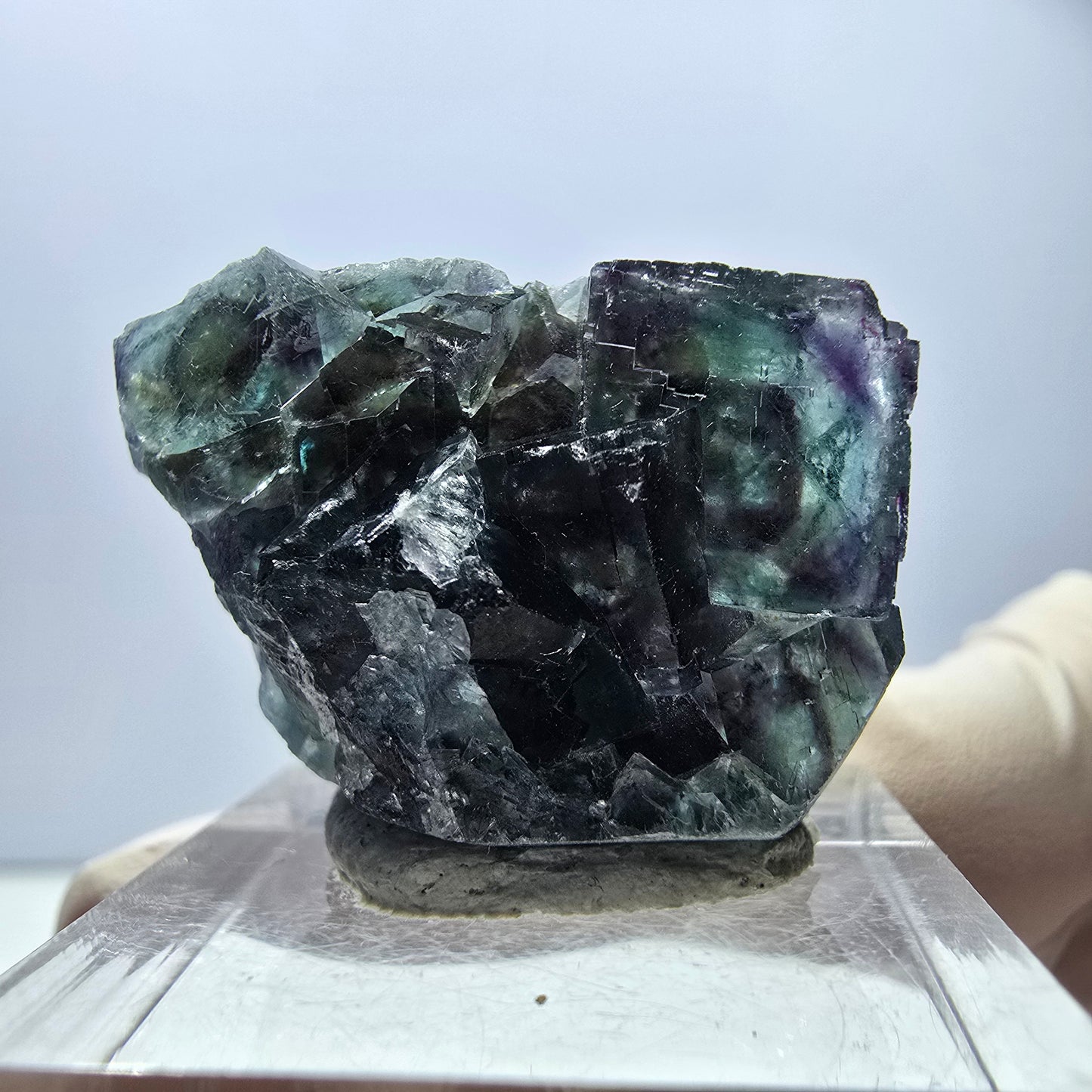 Spécimen de cube de fluorite fantôme, parqueté vert violet Okorusu, Namibie 29*21*12 mm