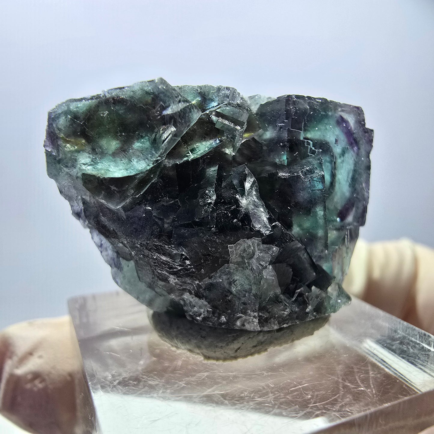 Spécimen de cube de fluorite fantôme, parqueté vert violet Okorusu, Namibie 29*21*12 mm