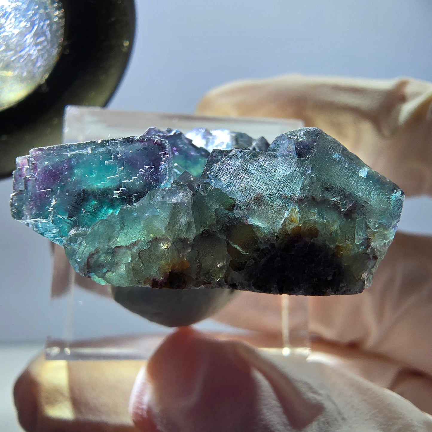 Spécimen de cube de fluorite fantôme, parqueté vert violet Okorusu, Namibie 29*21*12 mm
