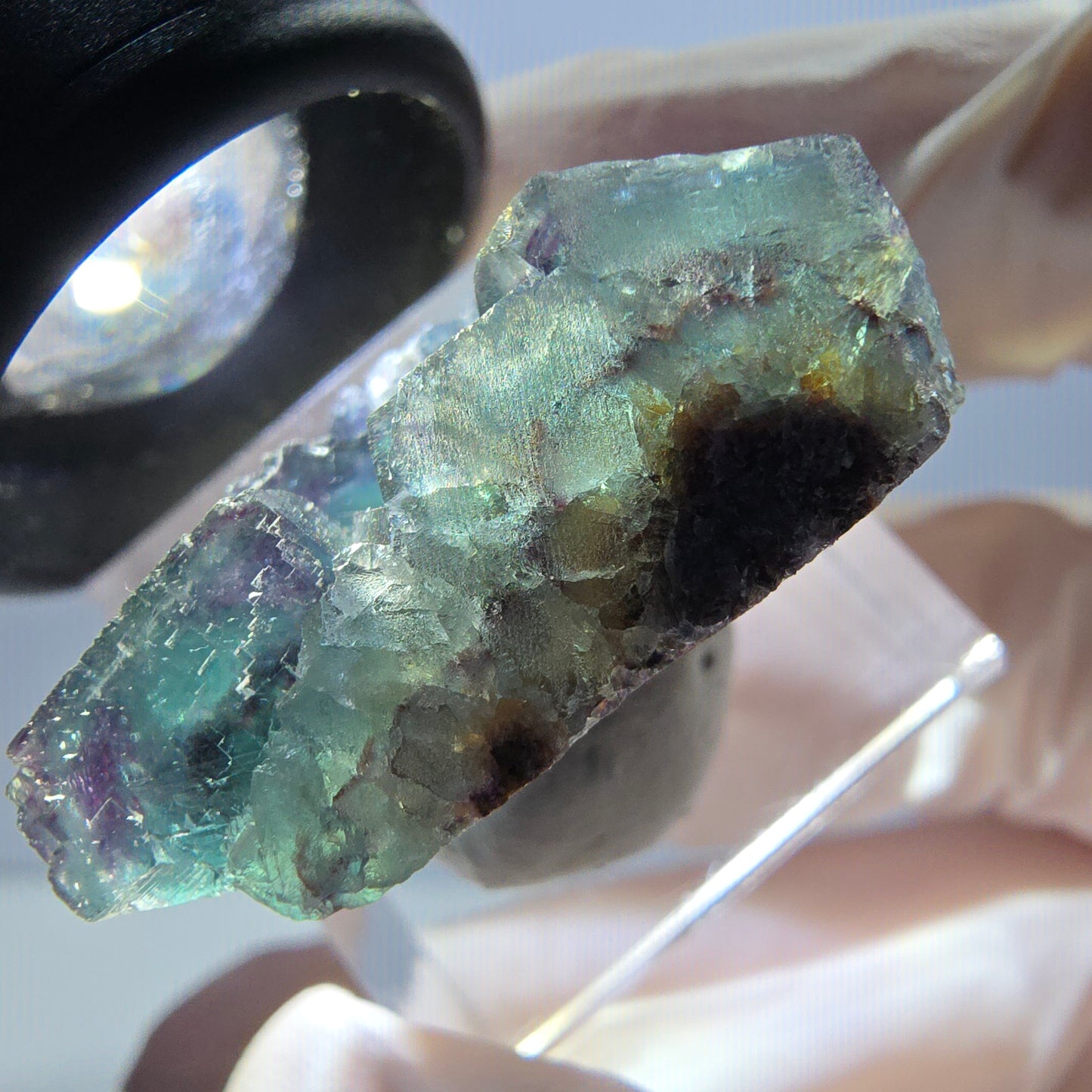 Spécimen de cube de fluorite fantôme, parqueté vert violet Okorusu, Namibie 29*21*12 mm