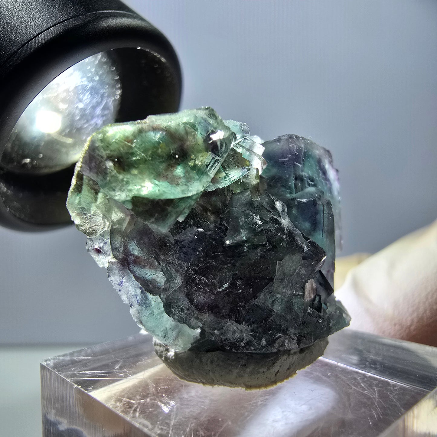 Spécimen de cube de fluorite fantôme, parqueté vert violet Okorusu, Namibie 29*21*12 mm
