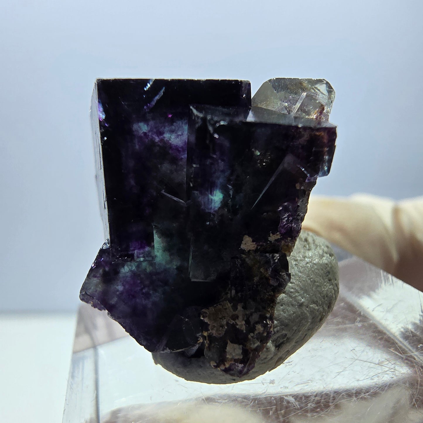 Spécimen de cube de fluorite fantôme, parqueté vert violet Okorusu, Namibie 20 x 20 x 16 mm