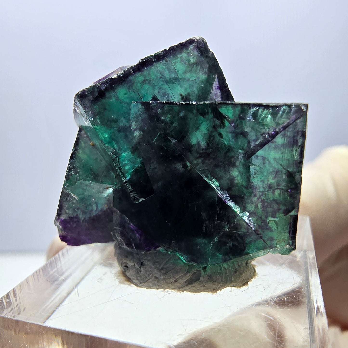 Spécimen de cube de fluorite fantôme, parqueté vert violet Okorusu, Namibie 27 x 24 x 15 mm