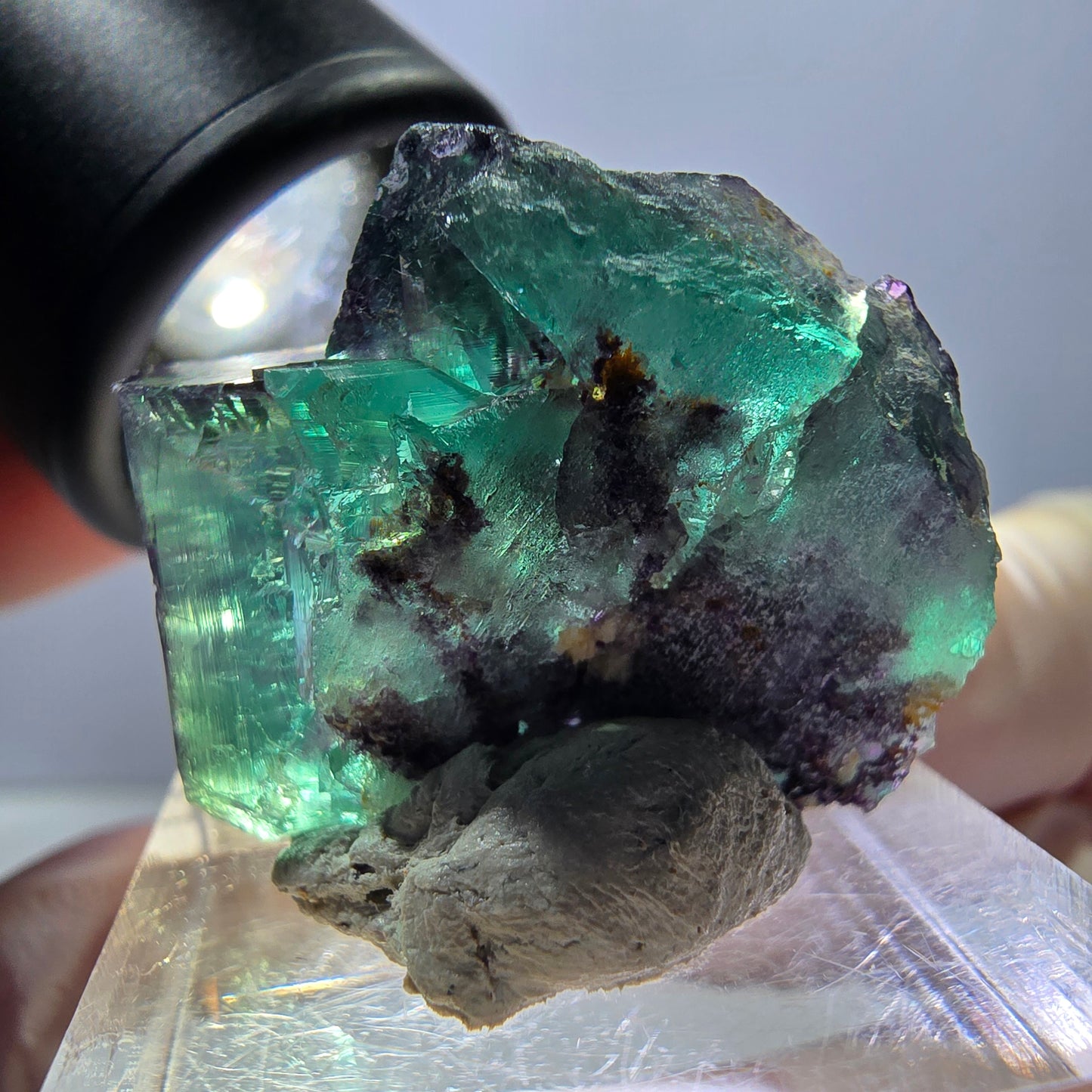 Spécimen de cube de fluorite fantôme, parqueté vert violet Okorusu, Namibie 27 x 24 x 15 mm