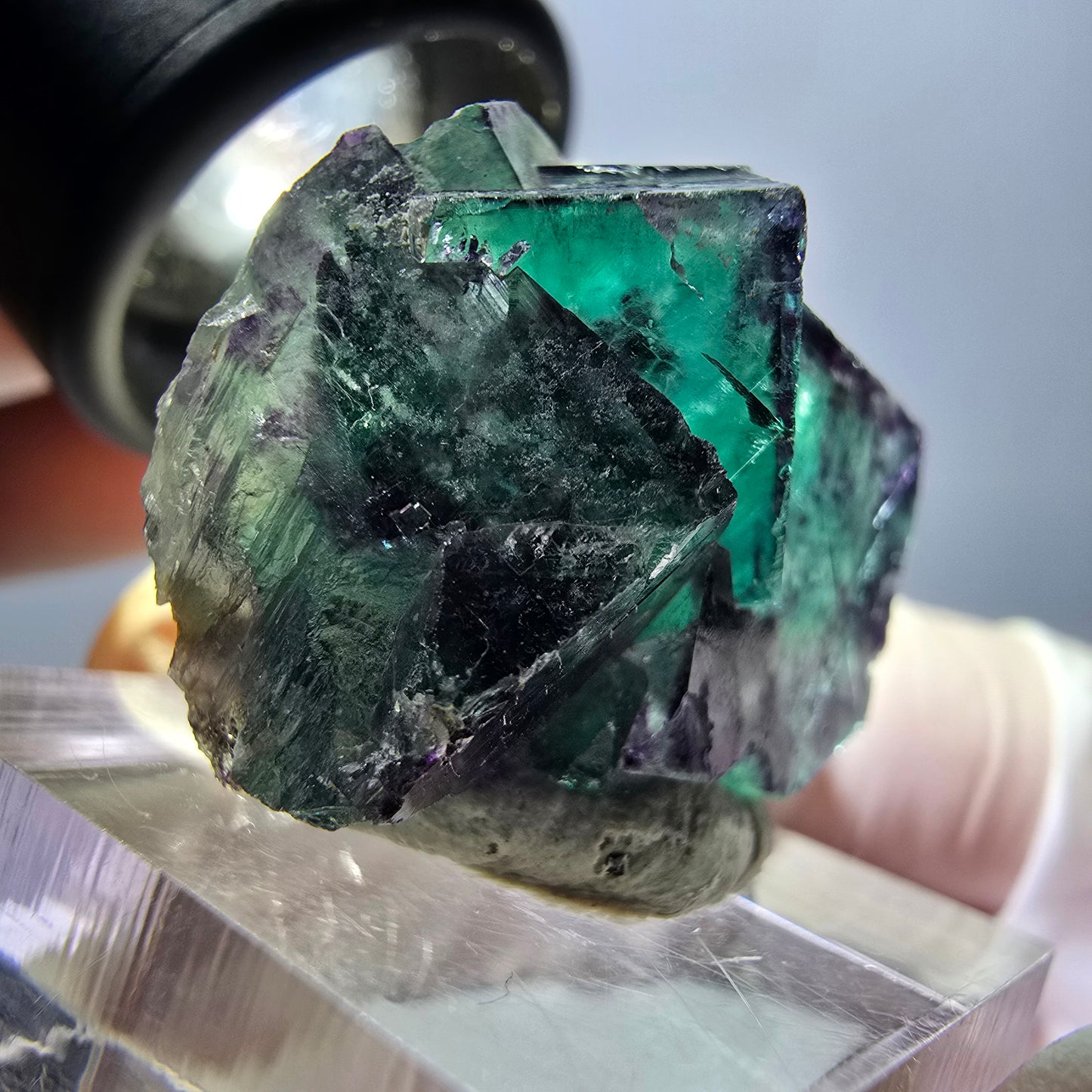 Spécimen de cube de fluorite fantôme, parqueté vert violet Okorusu, Namibie 27 x 24 x 15 mm