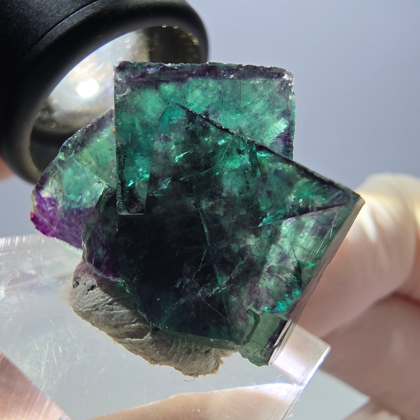 Spécimen de cube de fluorite fantôme, parqueté vert violet Okorusu, Namibie 27 x 24 x 15 mm