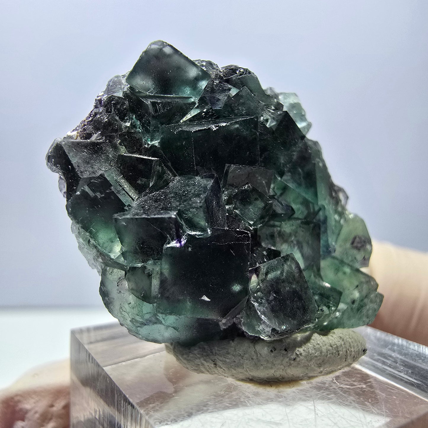 Spécimen de cube de fluorite fantôme, parqueté vert violet Okorusu, Namibie 35*27*13 mm