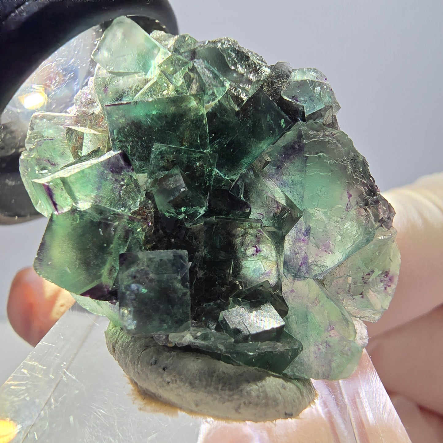 Spécimen de cube de fluorite fantôme, parqueté vert violet Okorusu, Namibie 35*27*13 mm
