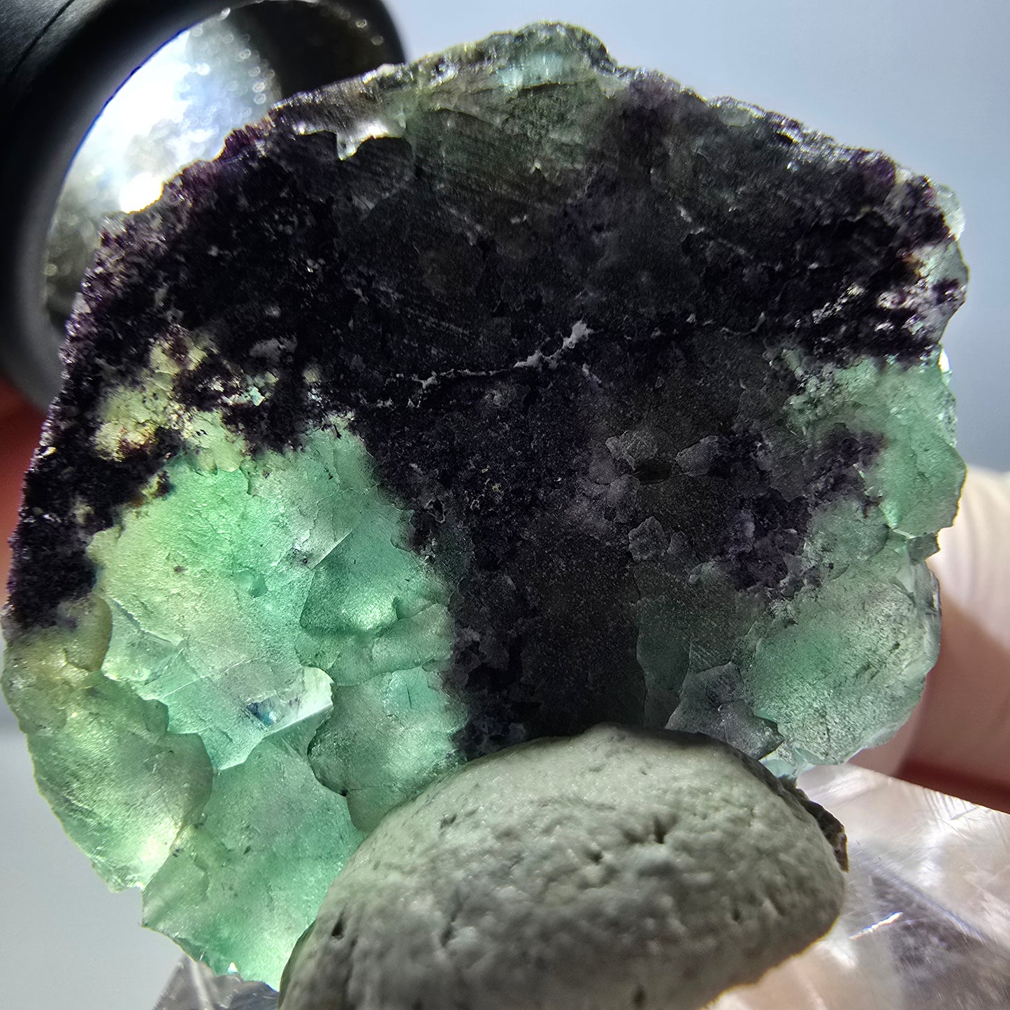 Spécimen de cube de fluorite fantôme, parqueté vert violet Okorusu, Namibie 35*27*13 mm