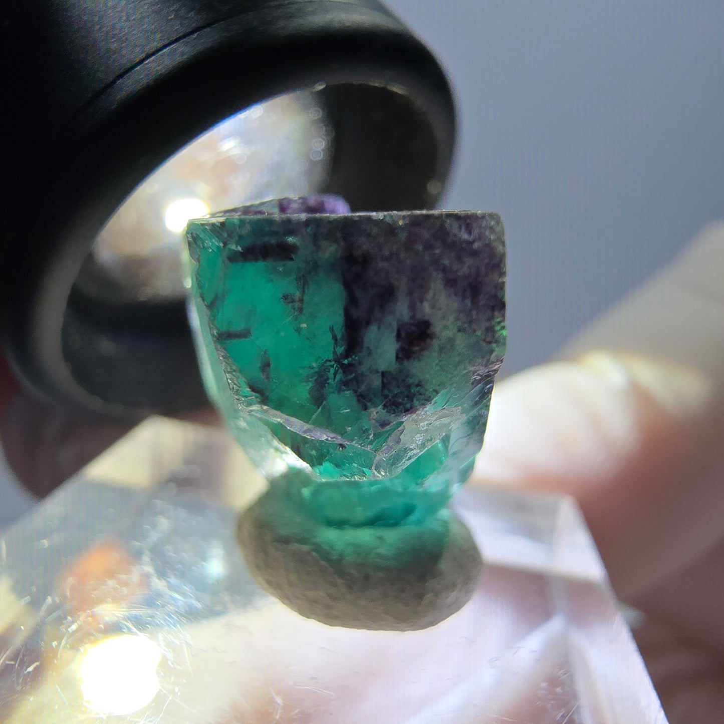 Spécimen de cube de fluorite fantôme, parqueté vert violet Okorusu, Namibie 25*18*14 mm