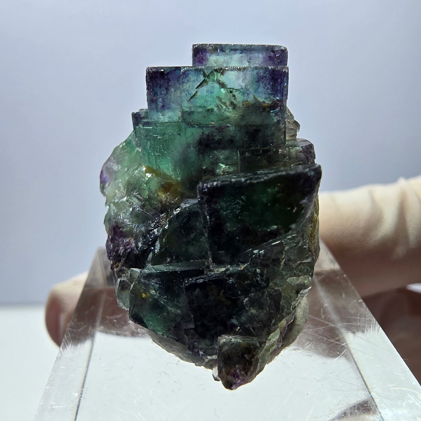 Spécimen de cube de fluorite fantôme, parqueté vert violet Okorusu, Namibie 31*25*18 mm