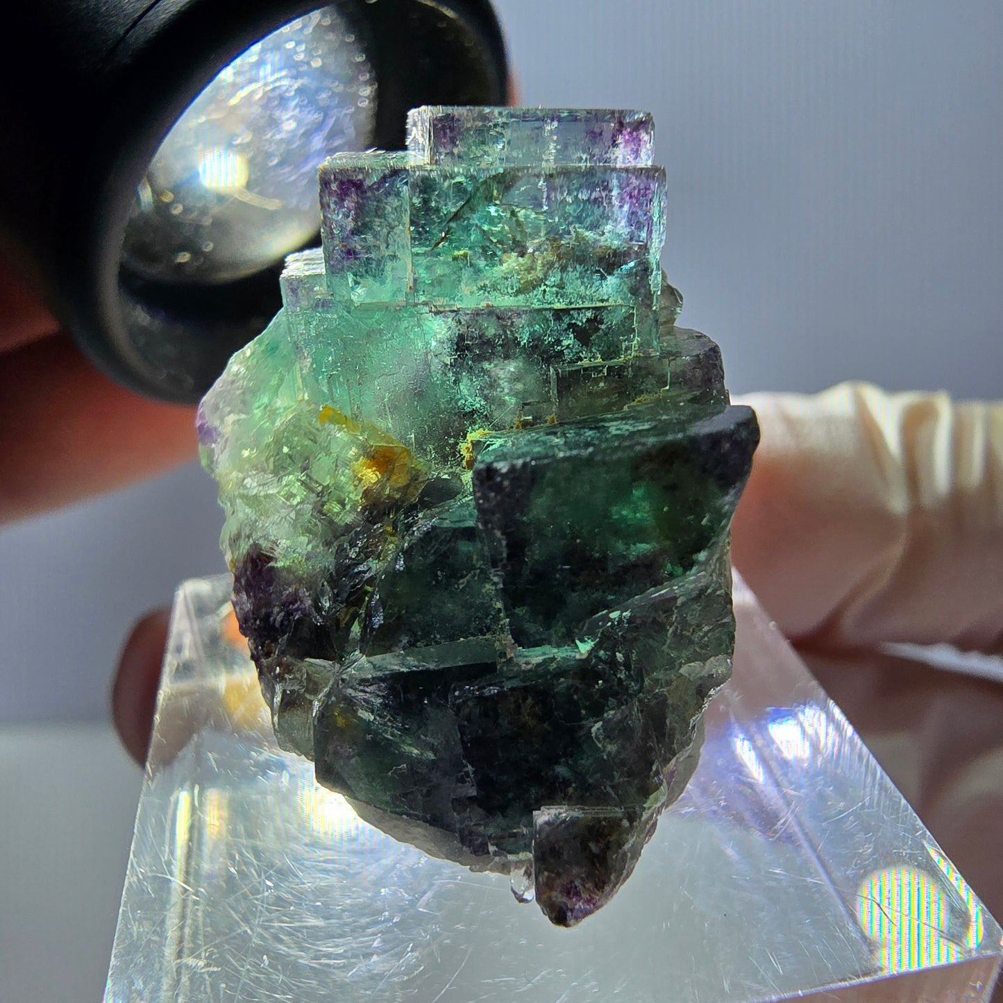 Spécimen de cube de fluorite fantôme, parqueté vert violet Okorusu, Namibie 31*25*18 mm
