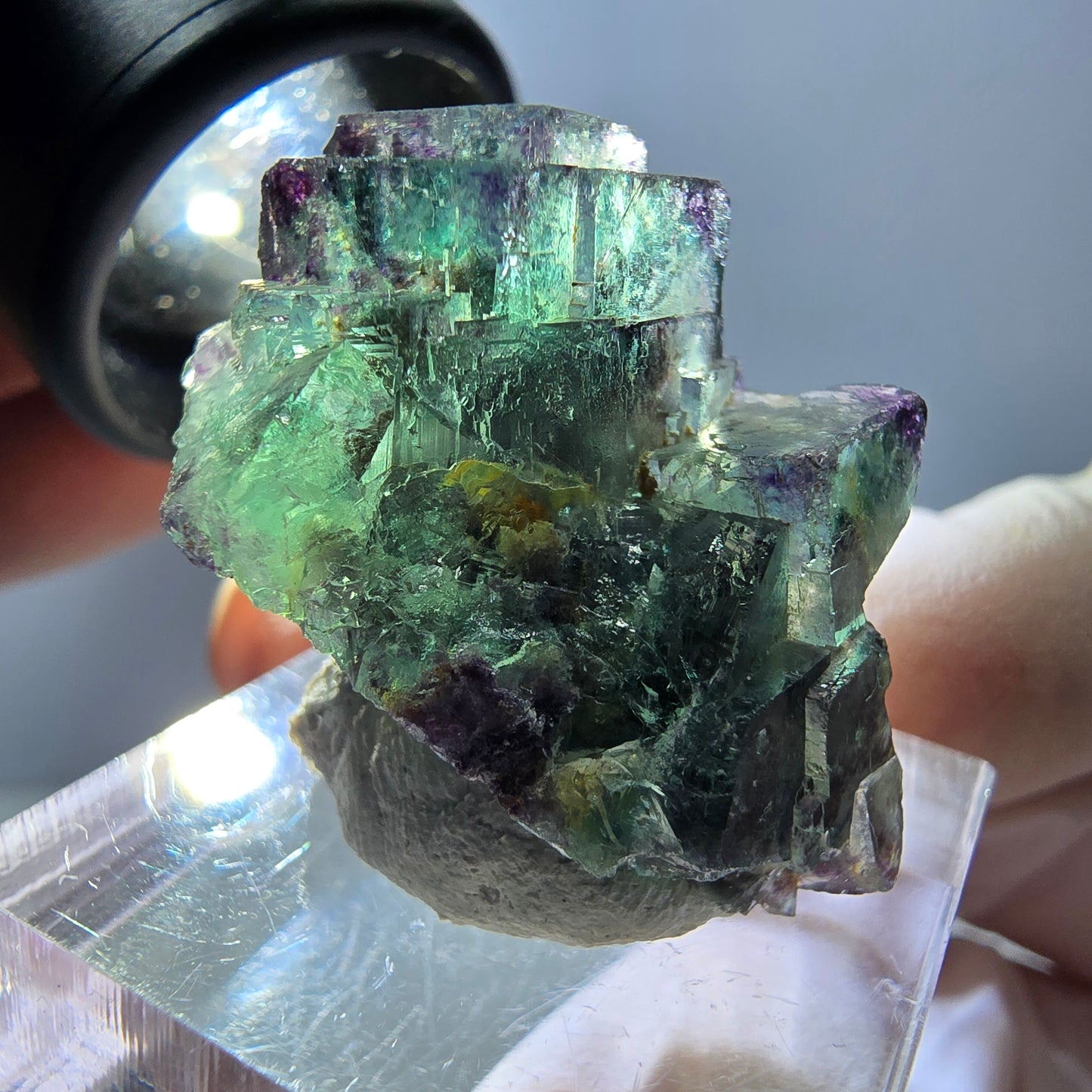 Spécimen de cube de fluorite fantôme, parqueté vert violet Okorusu, Namibie 31*25*18 mm