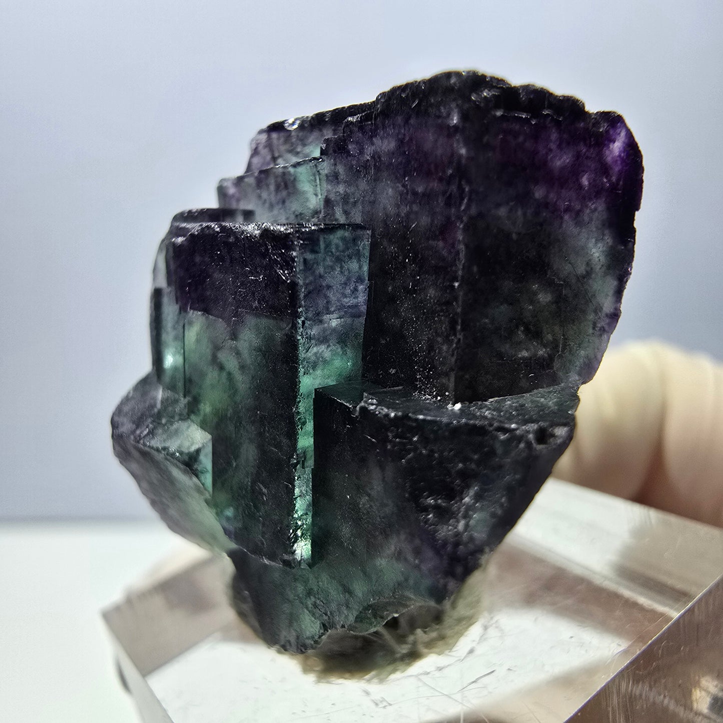 Phantom Fluorit Würfel Stufe, parkettiert grün lila Okorusu, Namibia 33*25*19mm