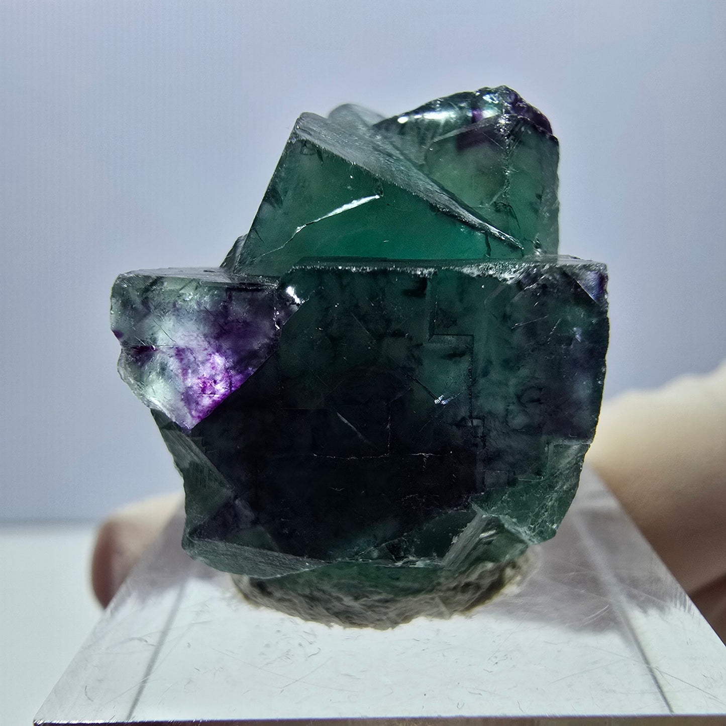 Spécimen de cube de fluorite fantôme, parqueté vert violet Okorusu, Namibie 26*20*18 mm