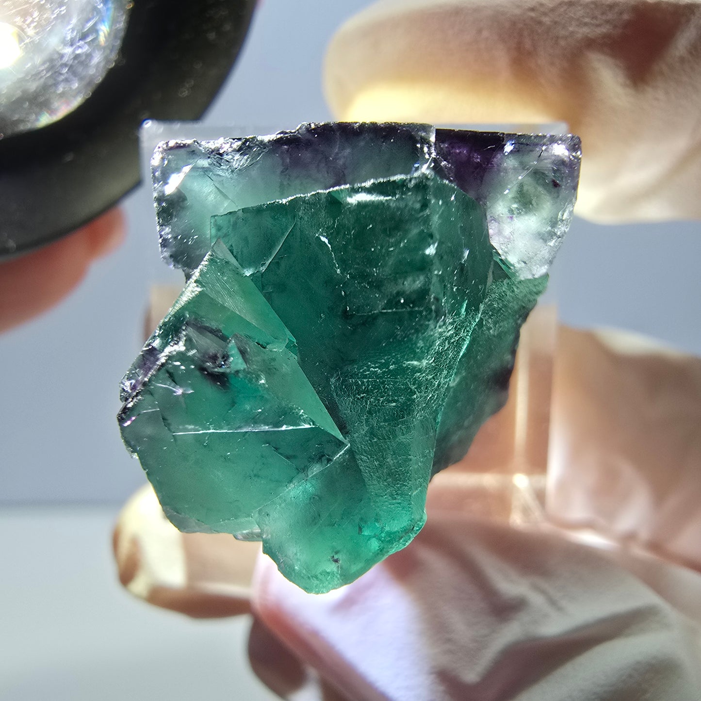 Spécimen de cube de fluorite fantôme, parqueté vert violet Okorusu, Namibie 26*20*18 mm