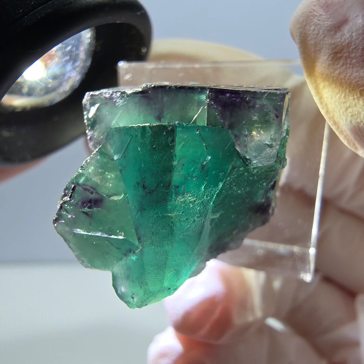 Spécimen de cube de fluorite fantôme, parqueté vert violet Okorusu, Namibie 26*20*18 mm