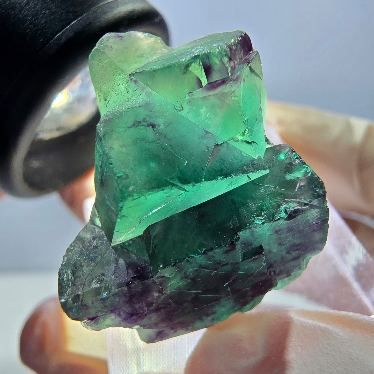 Spécimen de cube de fluorite fantôme, parqueté vert violet Okorusu, Namibie 26*20*18 mm