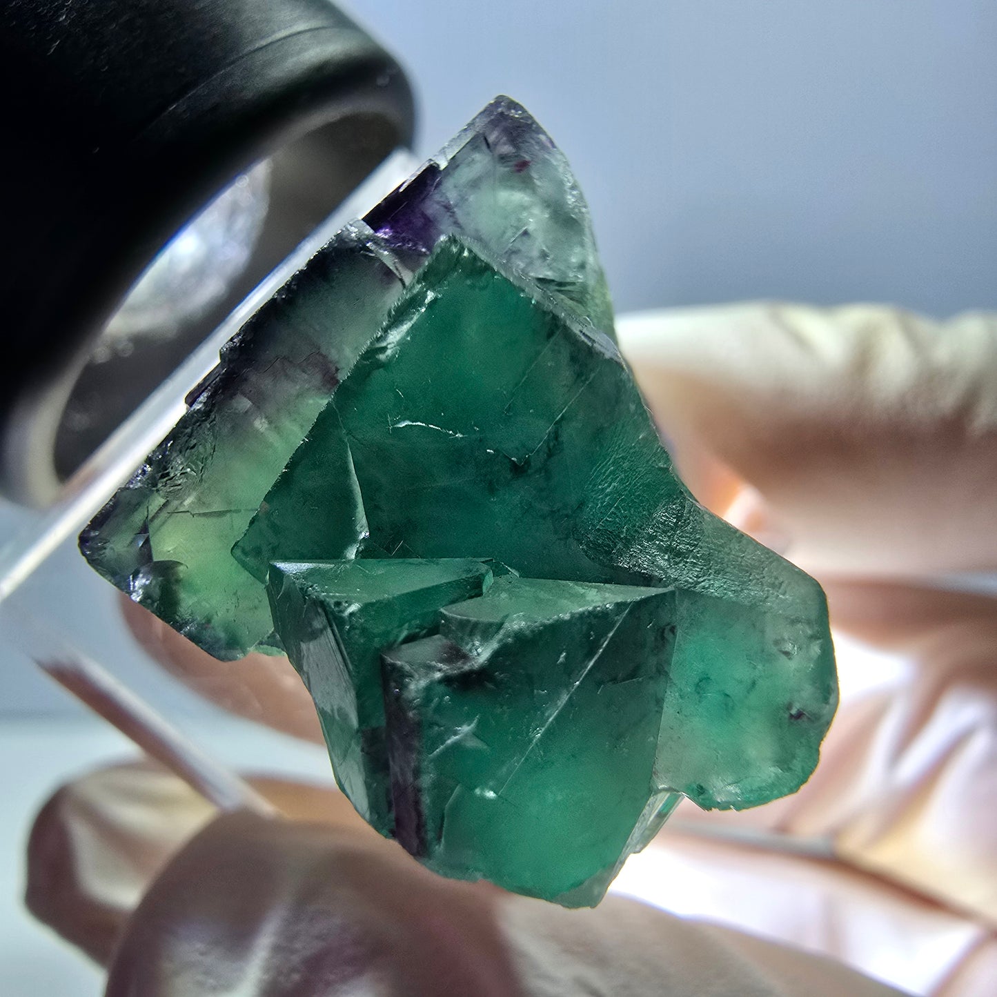 Spécimen de cube de fluorite fantôme, parqueté vert violet Okorusu, Namibie 26*20*18 mm