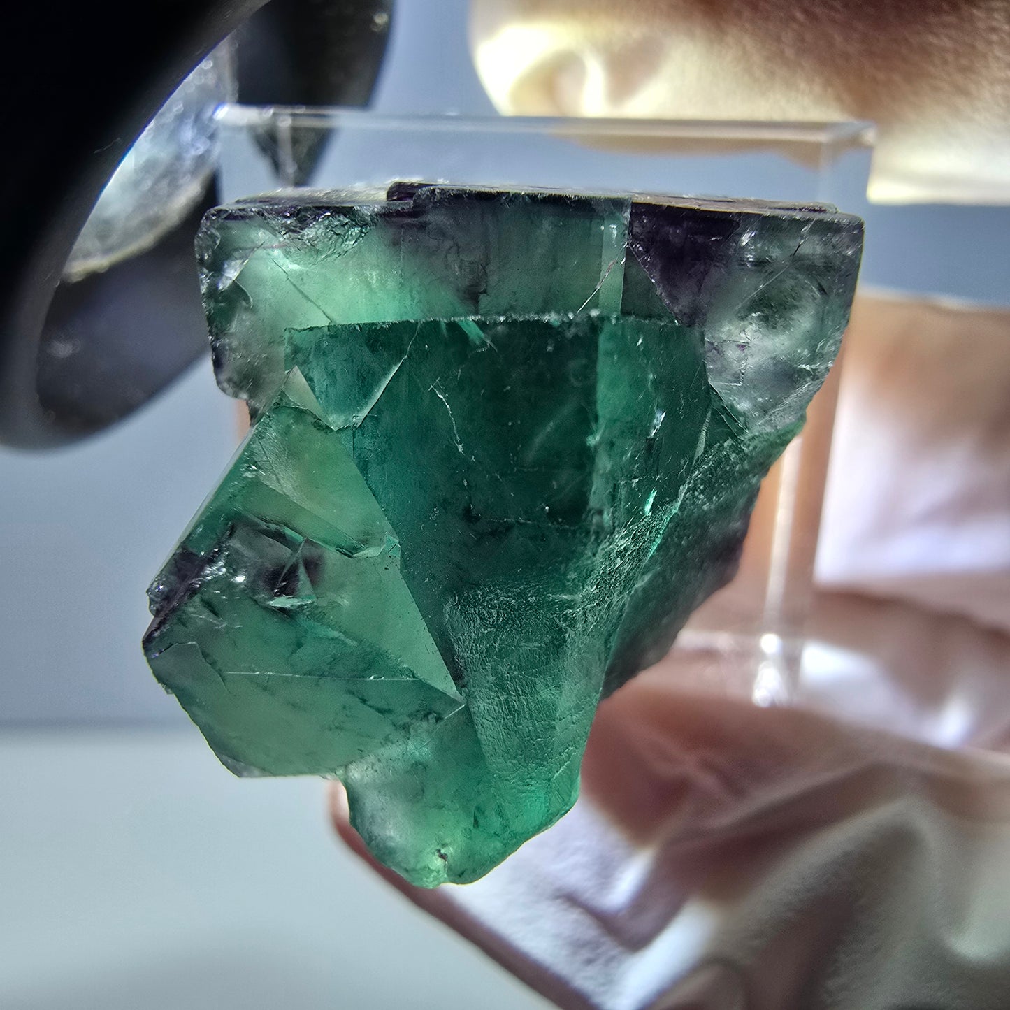 Spécimen de cube de fluorite fantôme, parqueté vert violet Okorusu, Namibie 26*20*18 mm