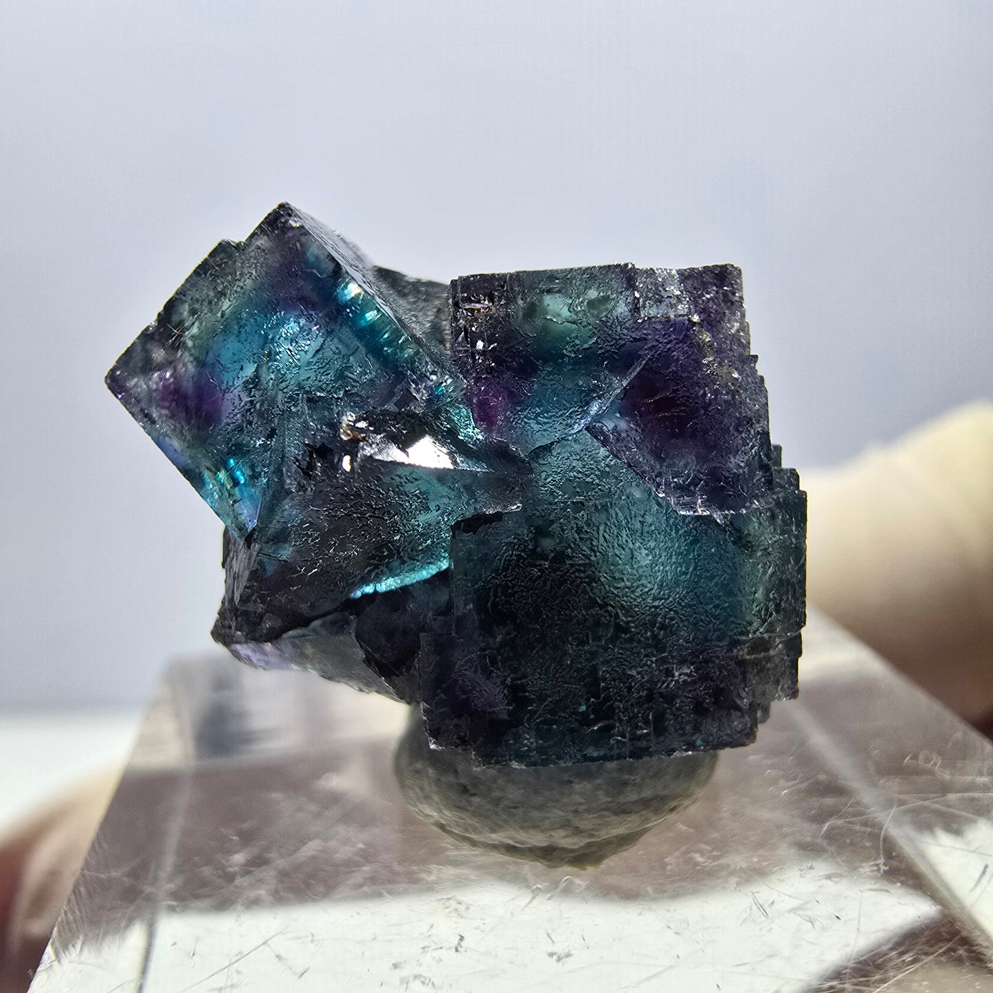 Spécimen de cube de fluorite fantôme, parqueté vert violet Okorusu, Namibie 20 x 15 x 12 mm