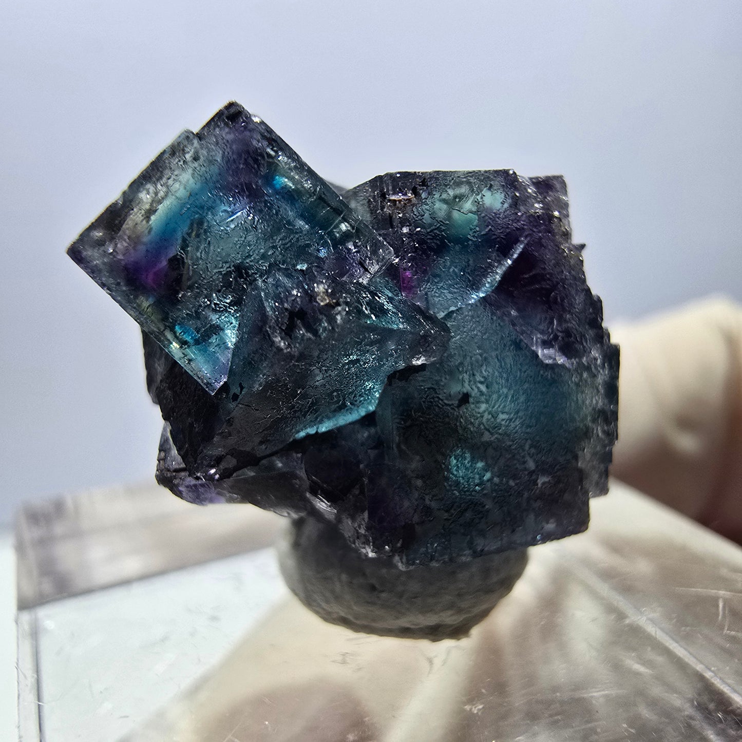Spécimen de cube de fluorite fantôme, parqueté vert violet Okorusu, Namibie 20 x 15 x 12 mm