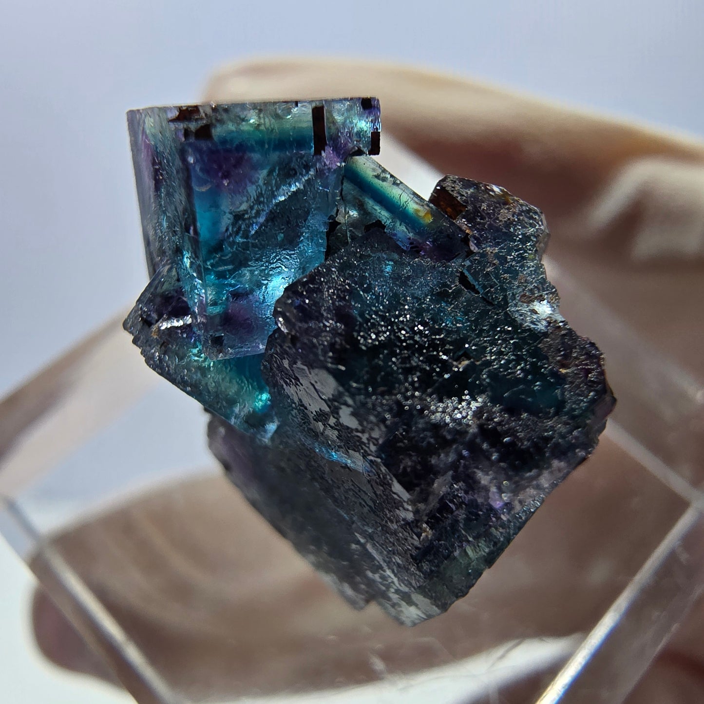 Spécimen de cube de fluorite fantôme, parqueté vert violet Okorusu, Namibie 20 x 15 x 12 mm