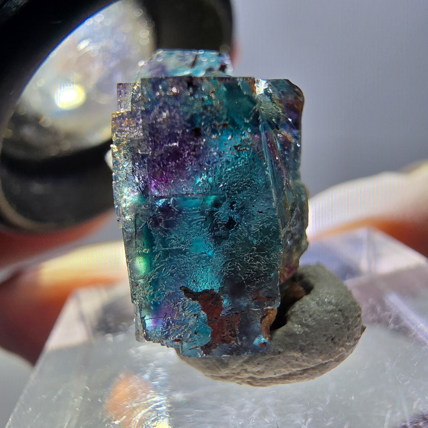 Spécimen de cube de fluorite fantôme, parqueté vert violet Okorusu, Namibie 20 x 15 x 12 mm