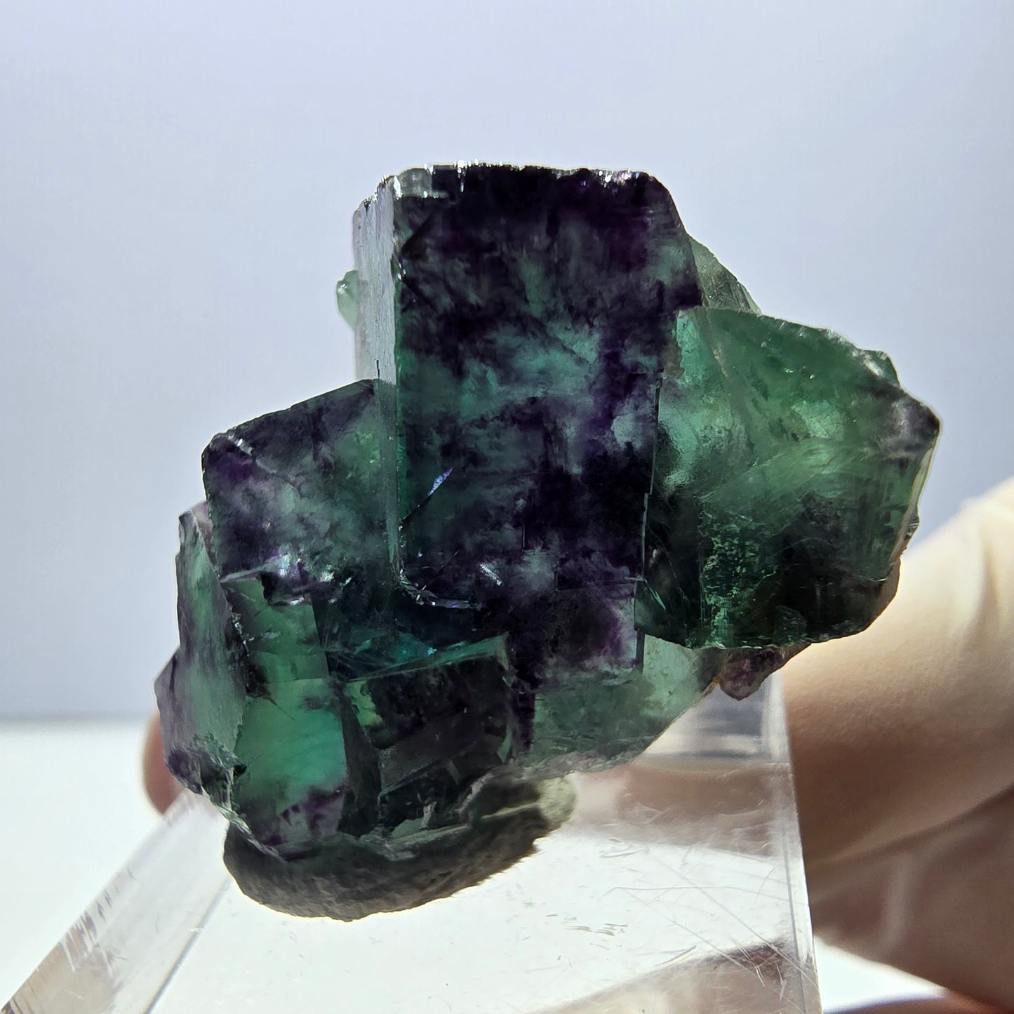 Phantom Fluorit Würfel Stufe, parkettiert grün lila Okorusu, Namibia 34*25*12mm