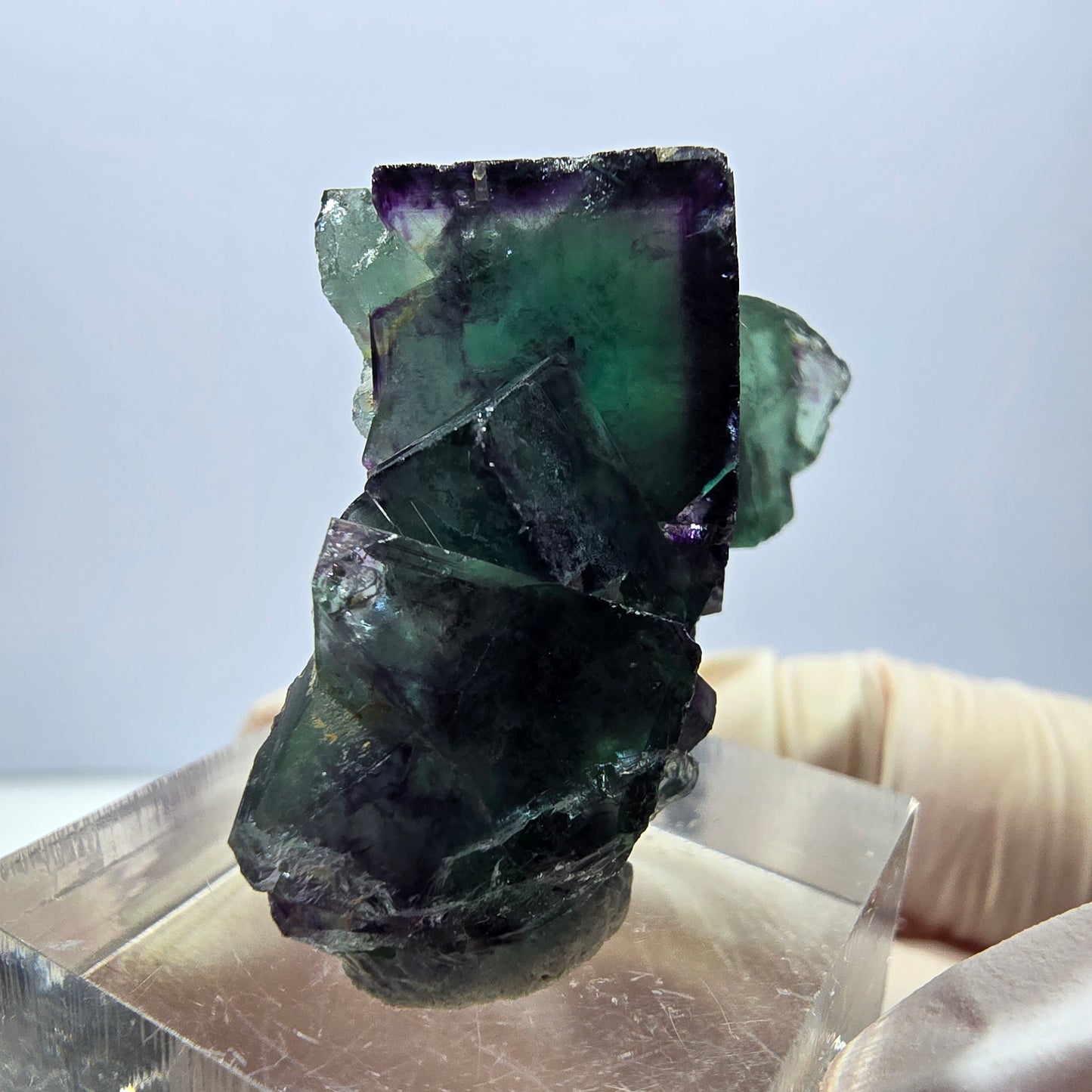 Phantom Fluorit Würfel Stufe, parkettiert grün lila Okorusu, Namibia 34*25*12mm