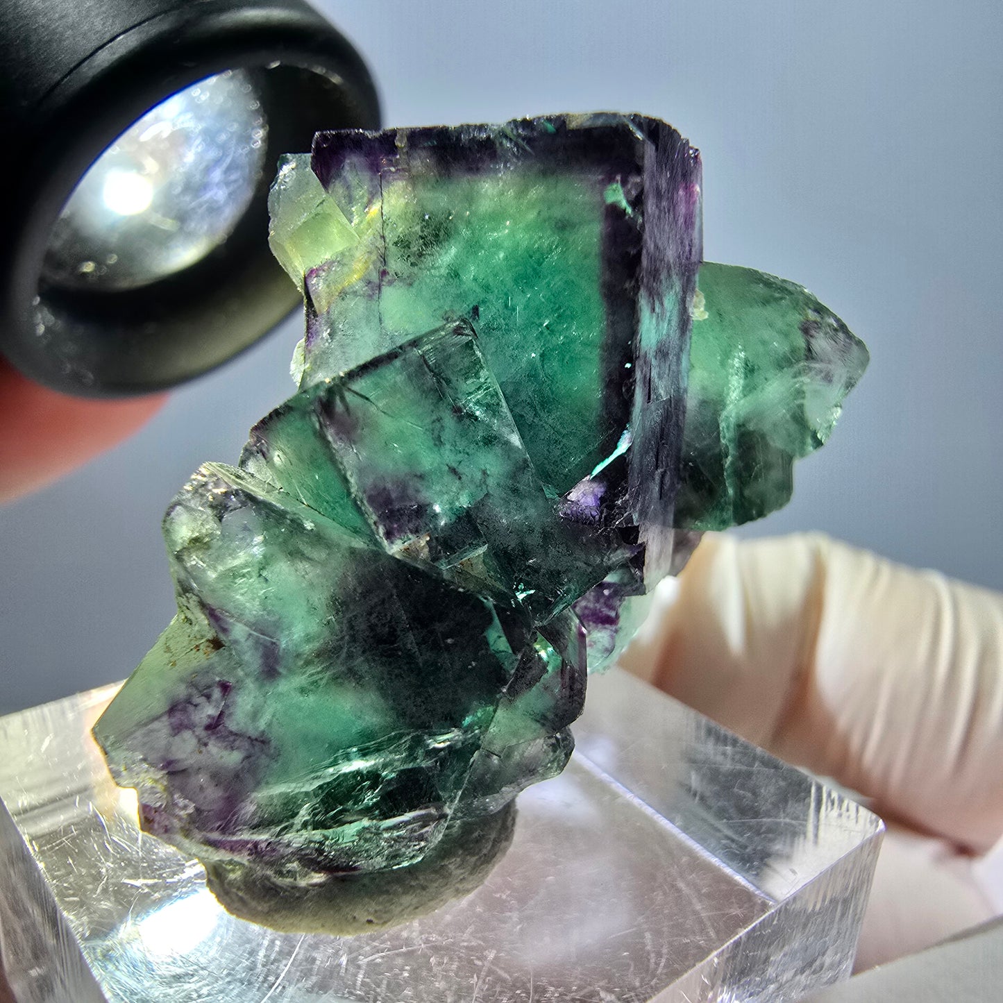 Phantom Fluorit Würfel Stufe, parkettiert grün lila Okorusu, Namibia 34*25*12mm