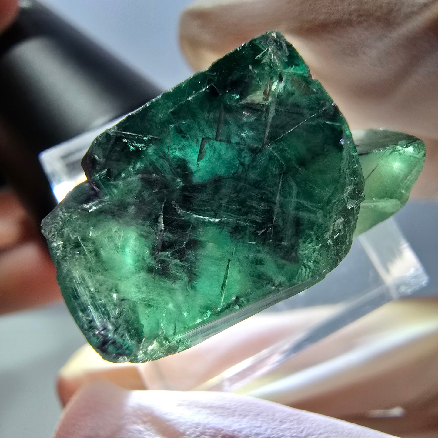 Spécimen de cube de fluorite fantôme, parqueté vert violet Okorusu, Namibie 29*18*14 mm