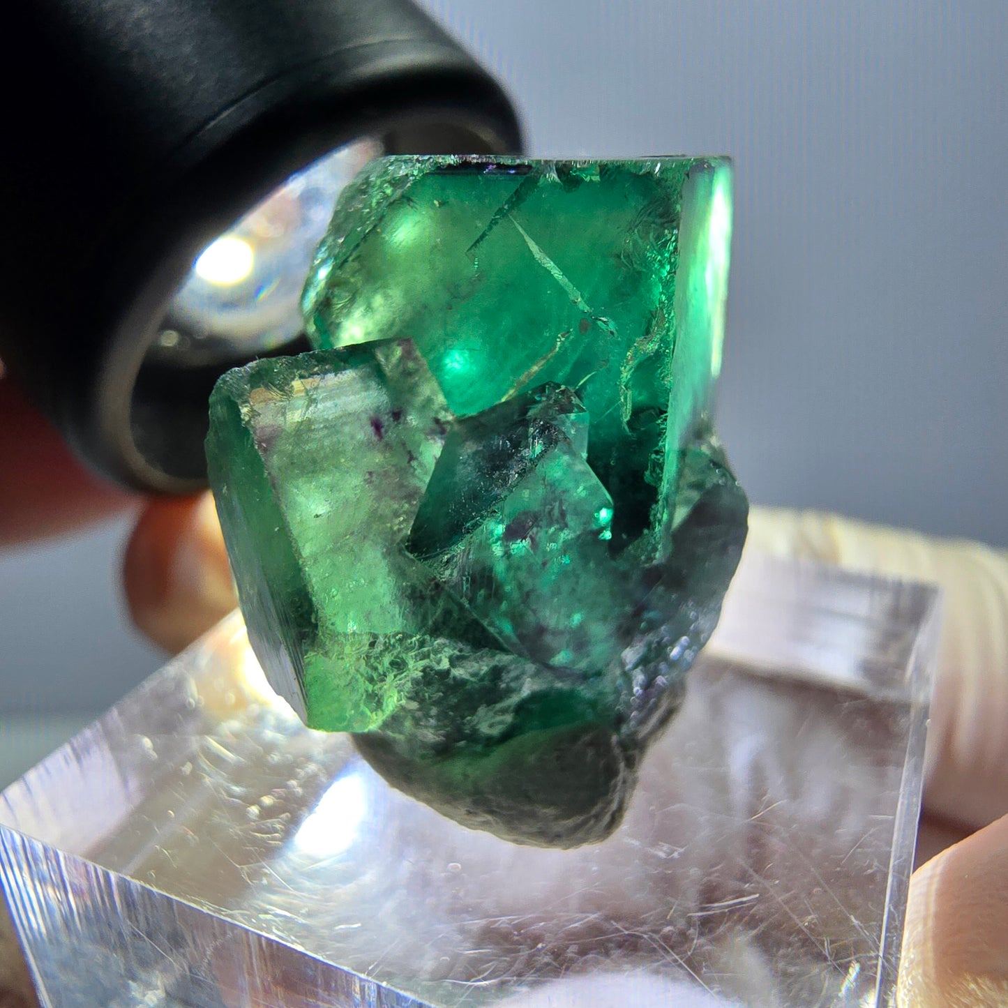 Spécimen de cube de fluorite fantôme, parqueté vert violet Okorusu, Namibie 29*18*14 mm