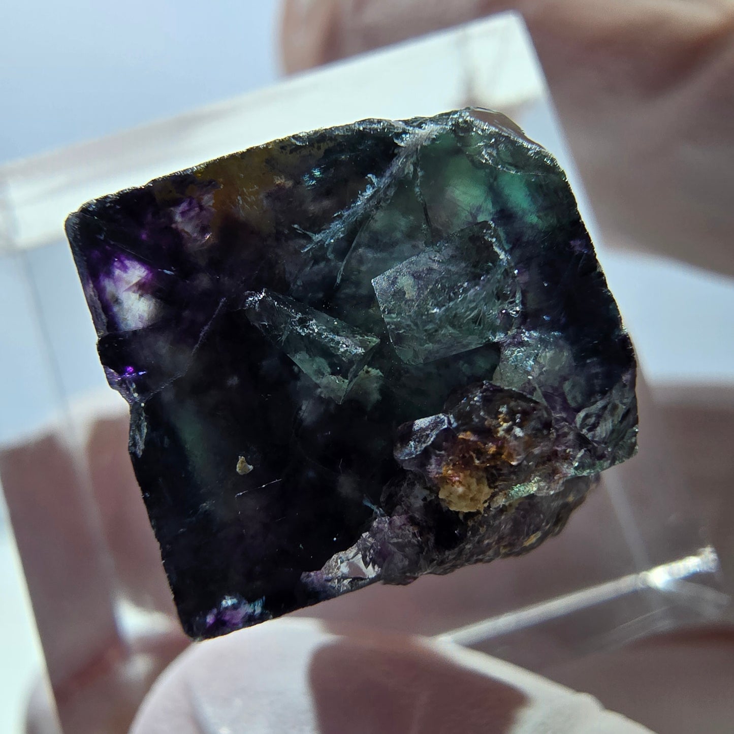 Spécimen de cube de fluorite fantôme, parqueté vert violet Okorusu, Namibie 15*15*14 mm