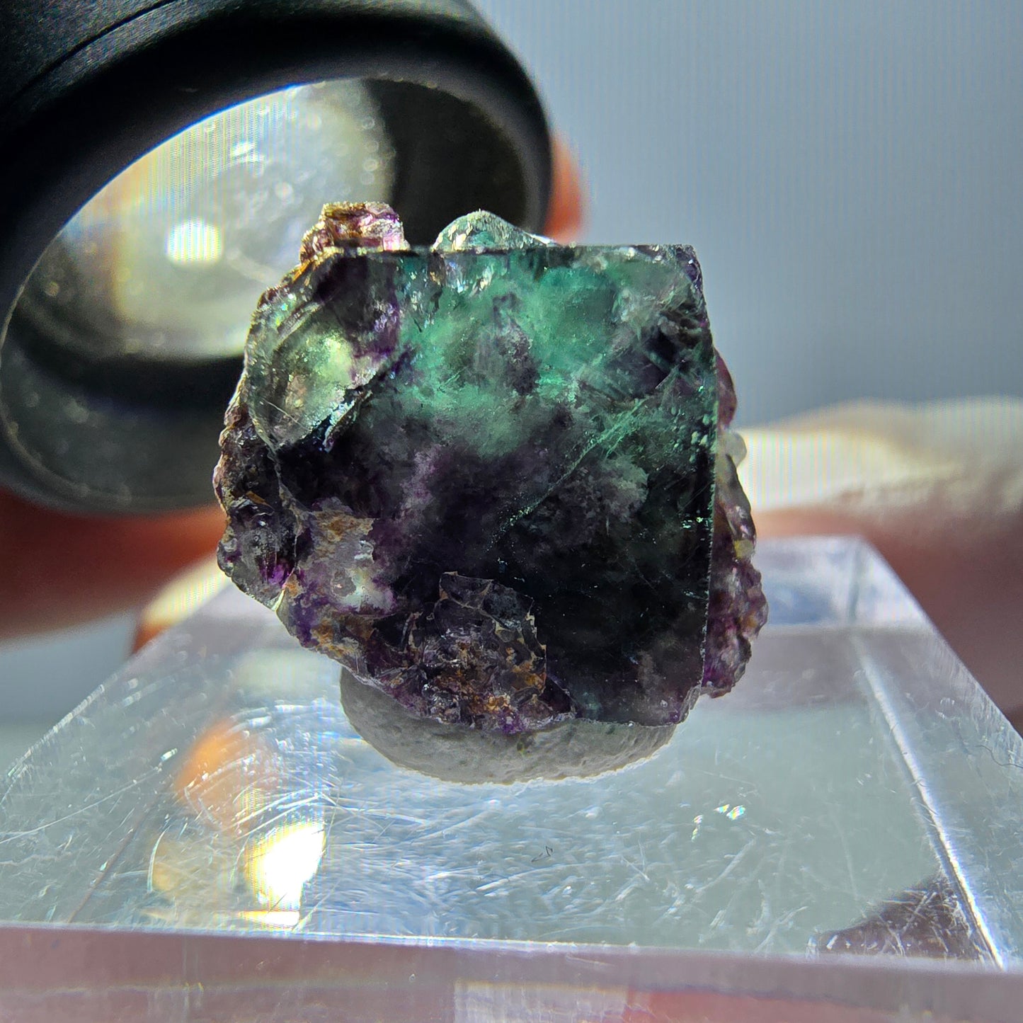 Spécimen de cube de fluorite fantôme, parqueté vert violet Okorusu, Namibie 15*15*14 mm