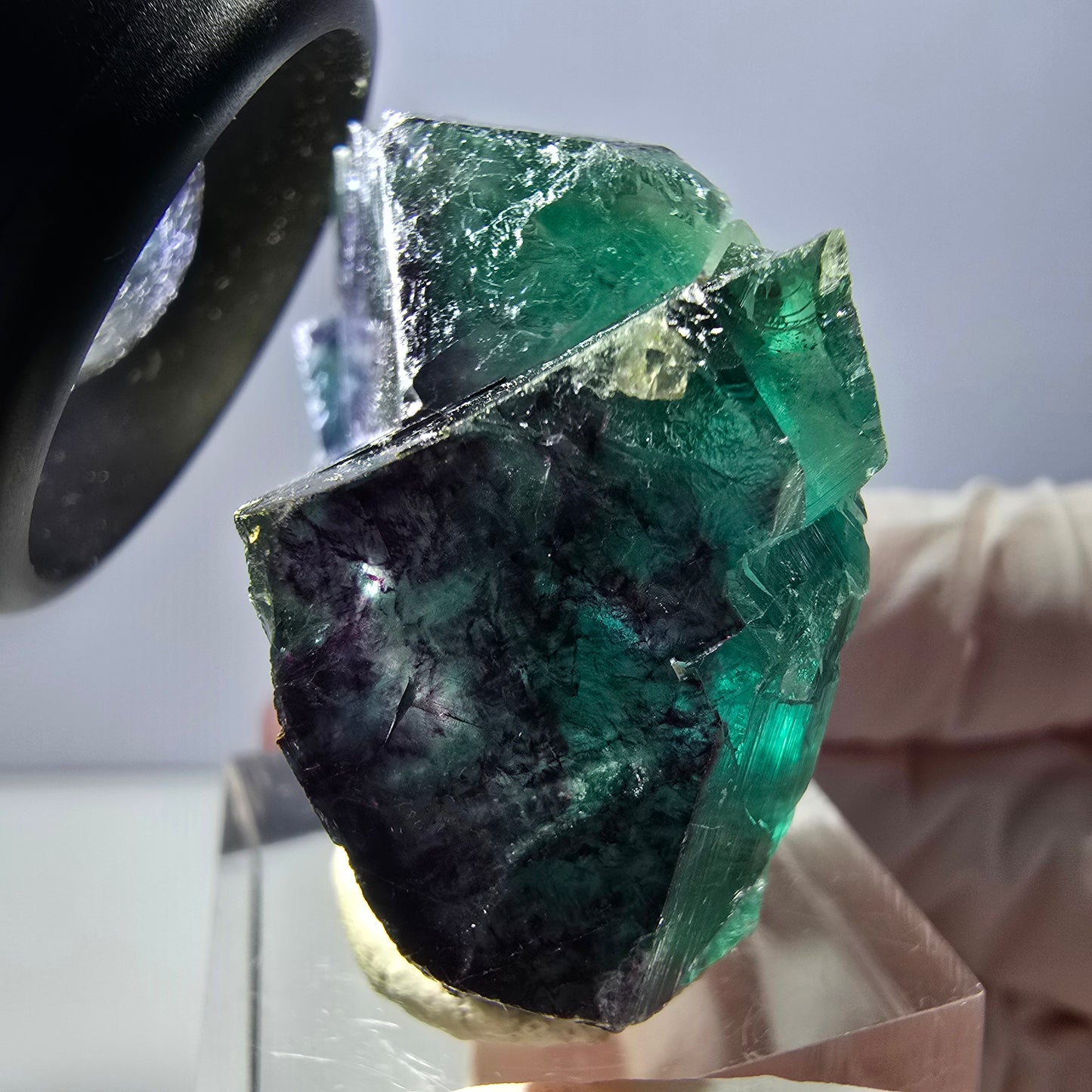 Spécimen de cube de fluorite fantôme, parqueté vert violet Okorusu, Namibie 40*31*20 mm