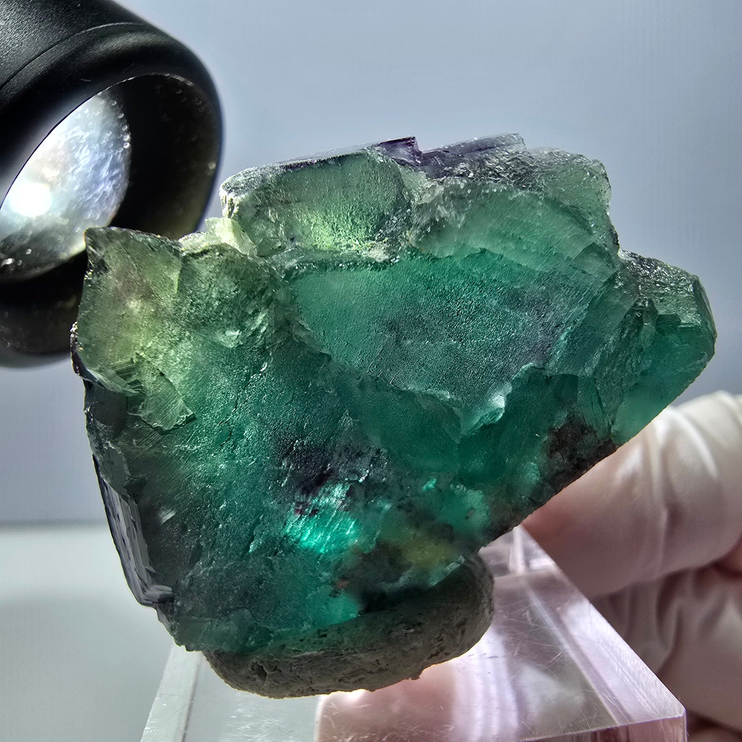 Spécimen de cube de fluorite fantôme, parqueté vert violet Okorusu, Namibie 40*31*20 mm
