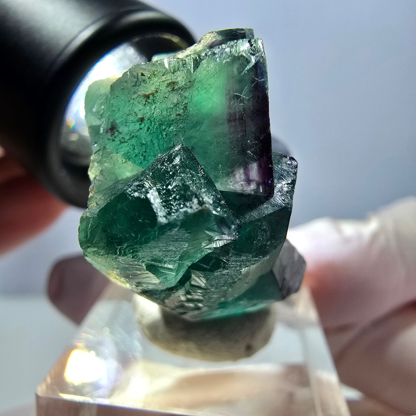 Spécimen de cube de fluorite fantôme, parqueté vert violet Okorusu, Namibie 40*31*20 mm