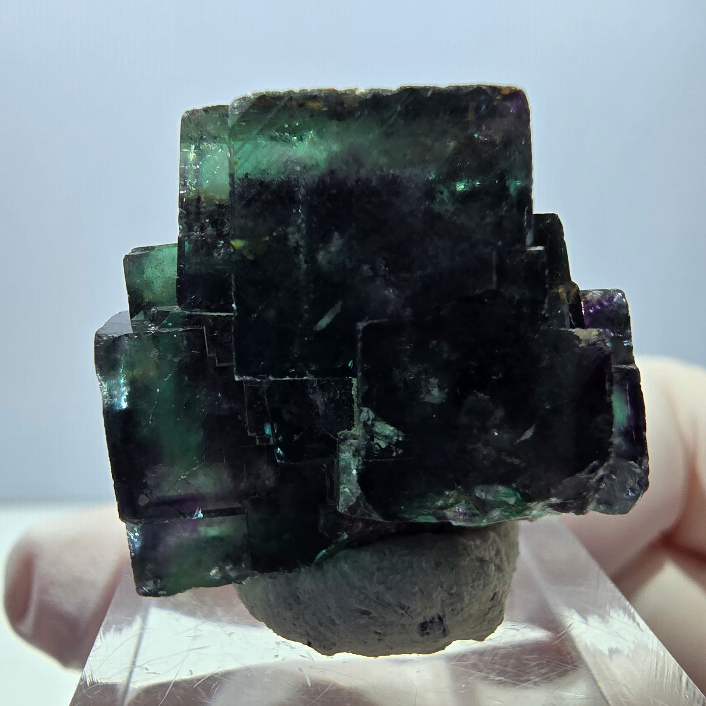 Spécimen de cube de fluorite fantôme, parqueté vert violet Okorusu, Namibie 28*27*22 mm
