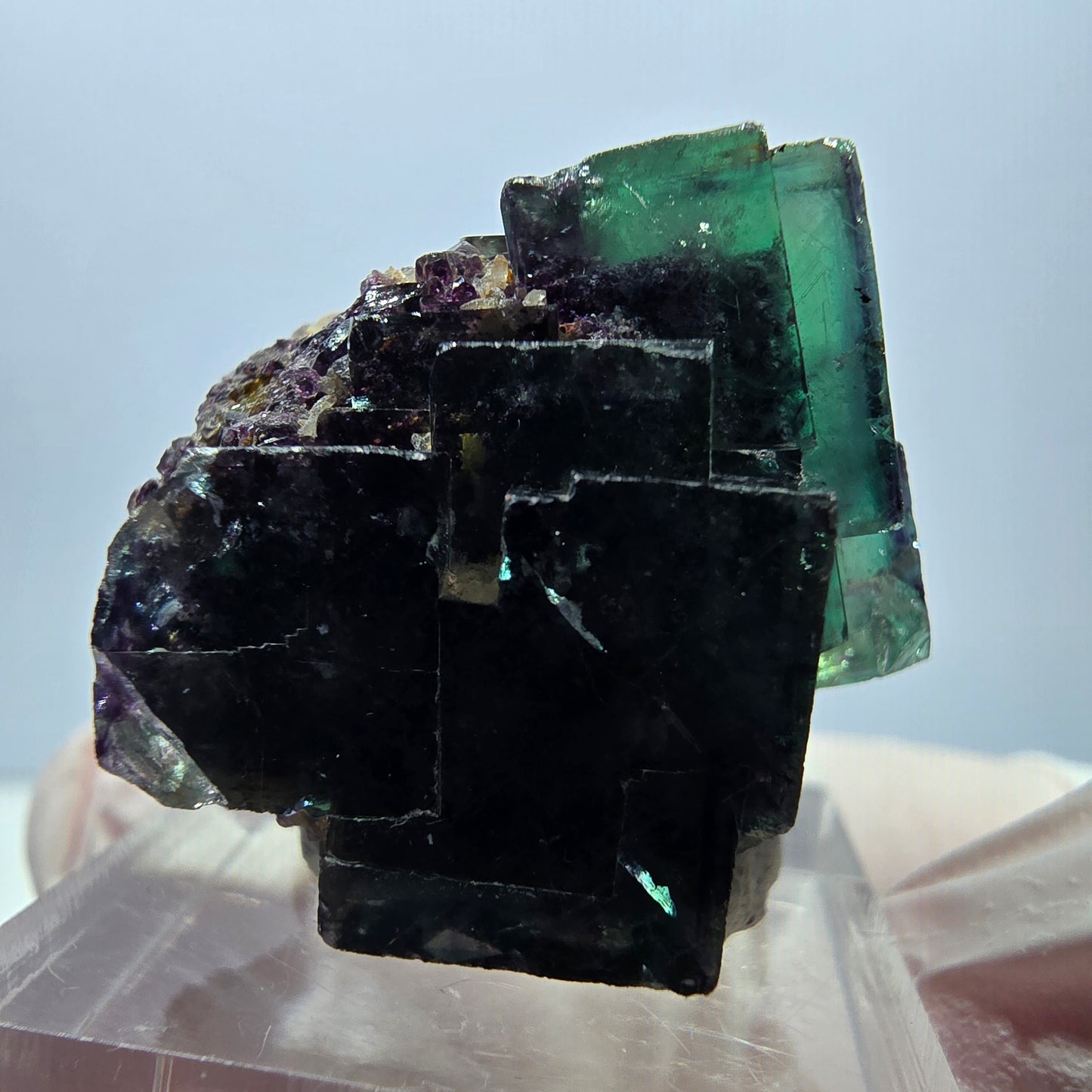 Spécimen de cube de fluorite fantôme, parqueté vert violet Okorusu, Namibie 28*27*22 mm