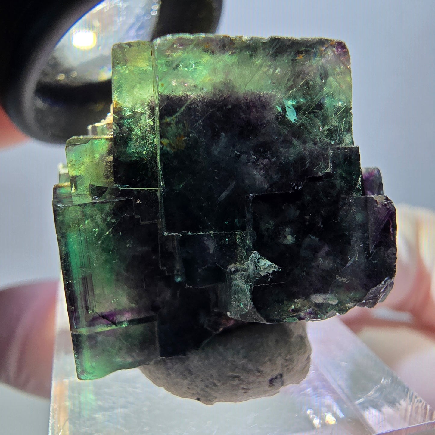 Spécimen de cube de fluorite fantôme, parqueté vert violet Okorusu, Namibie 28*27*22 mm