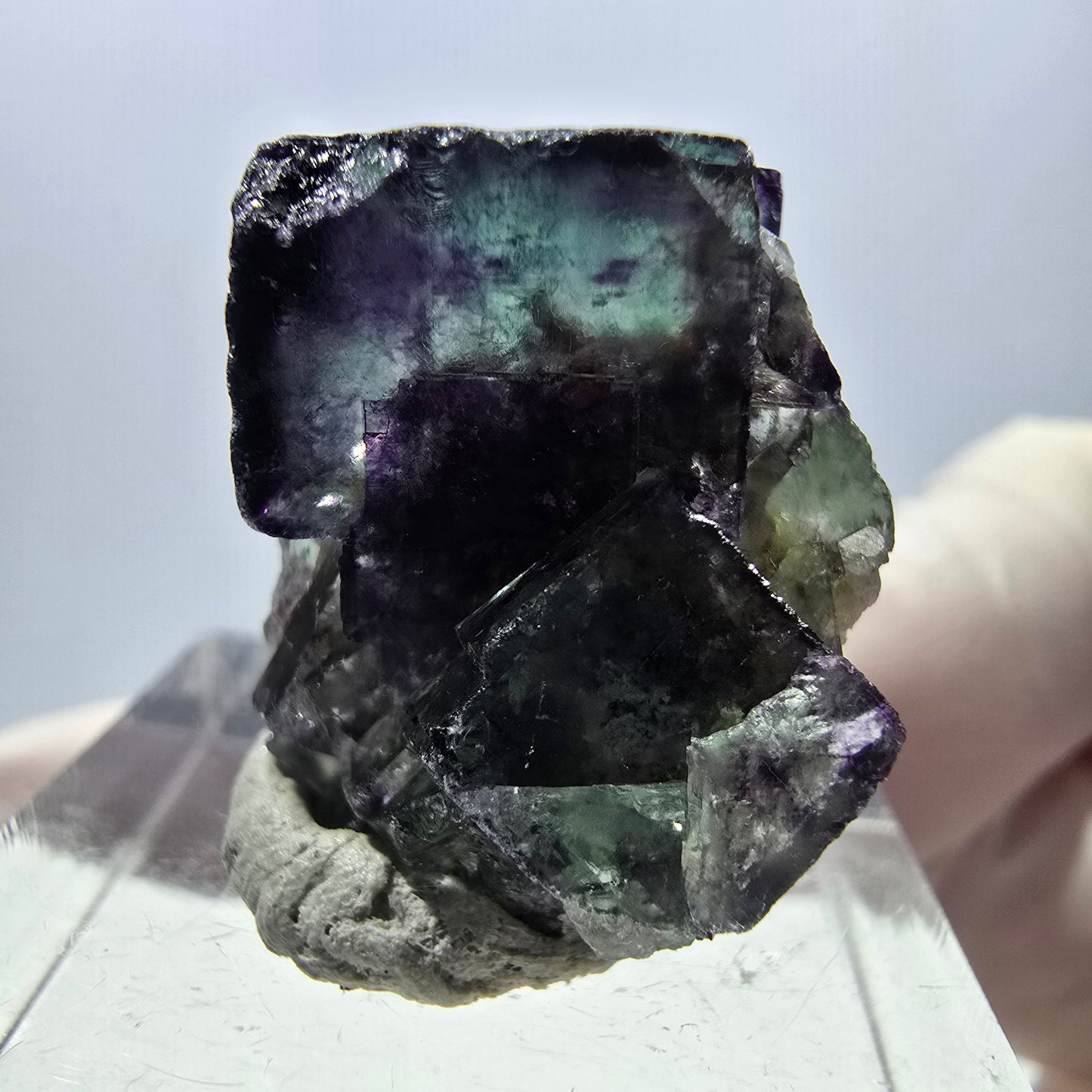 Spécimen de cube de fluorite fantôme, parqueté vert violet Okorusu, Namibie 25*19*15 mm