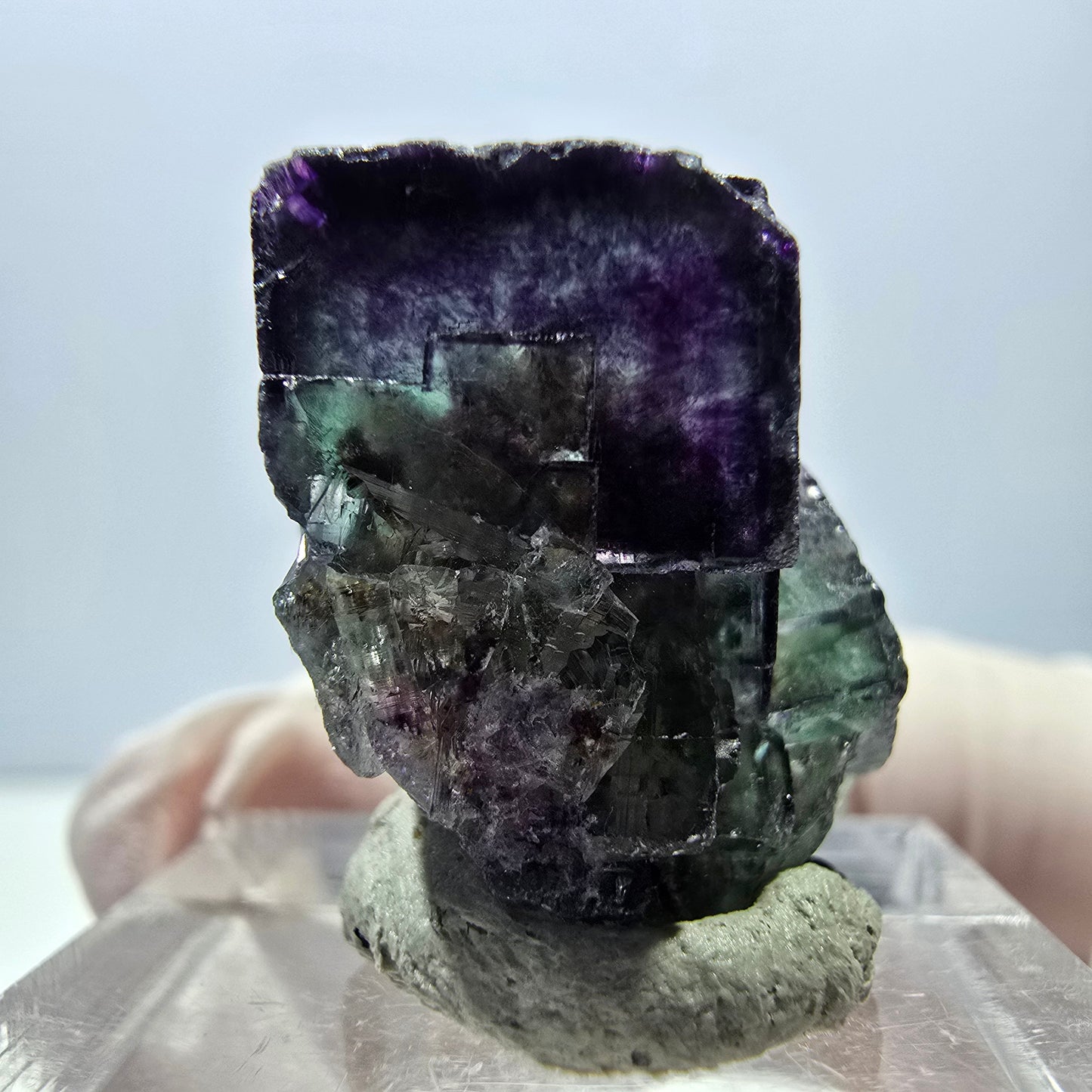 Spécimen de cube de fluorite fantôme, parqueté vert violet Okorusu, Namibie 25*19*15 mm