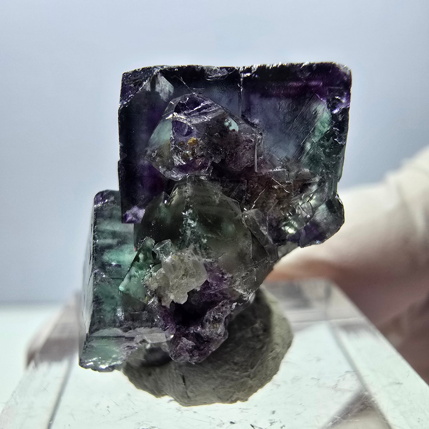 Spécimen de cube de fluorite fantôme, parqueté vert violet Okorusu, Namibie 25*19*15 mm