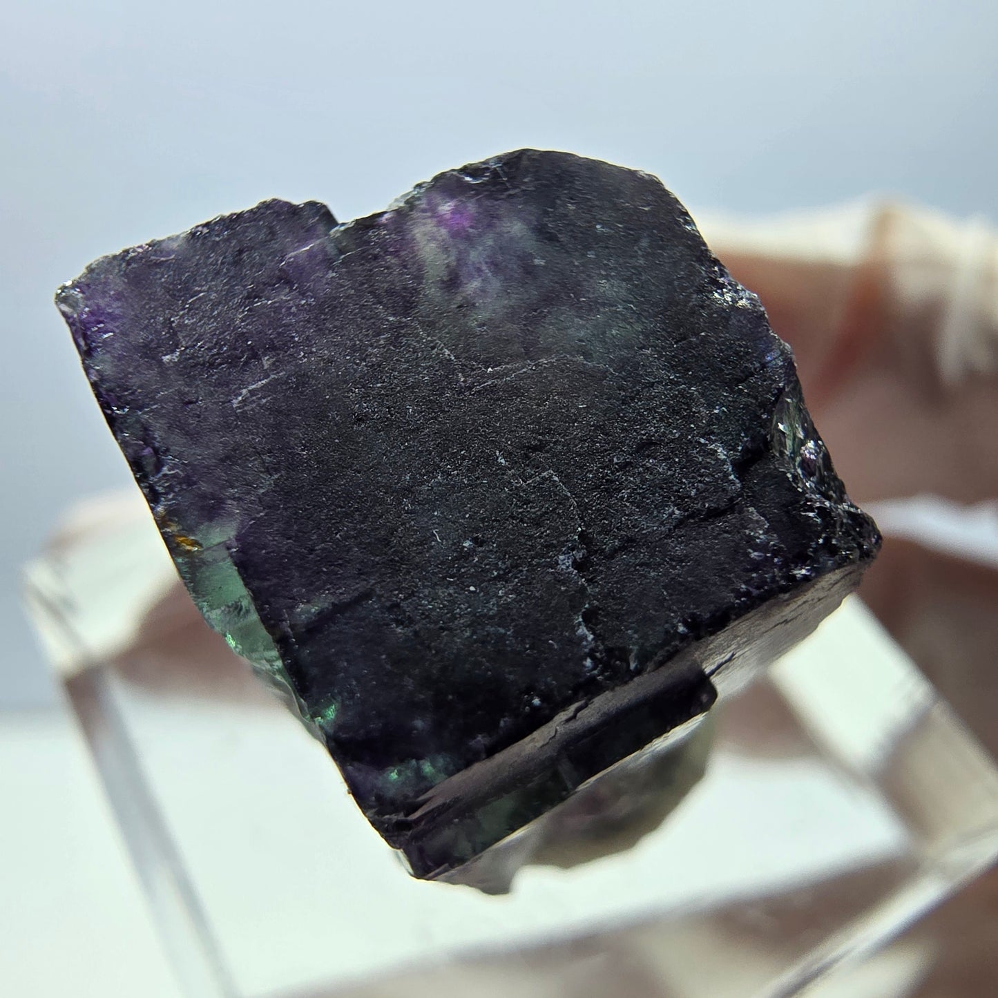 Spécimen de cube de fluorite fantôme, parqueté vert violet Okorusu, Namibie 25*19*15 mm