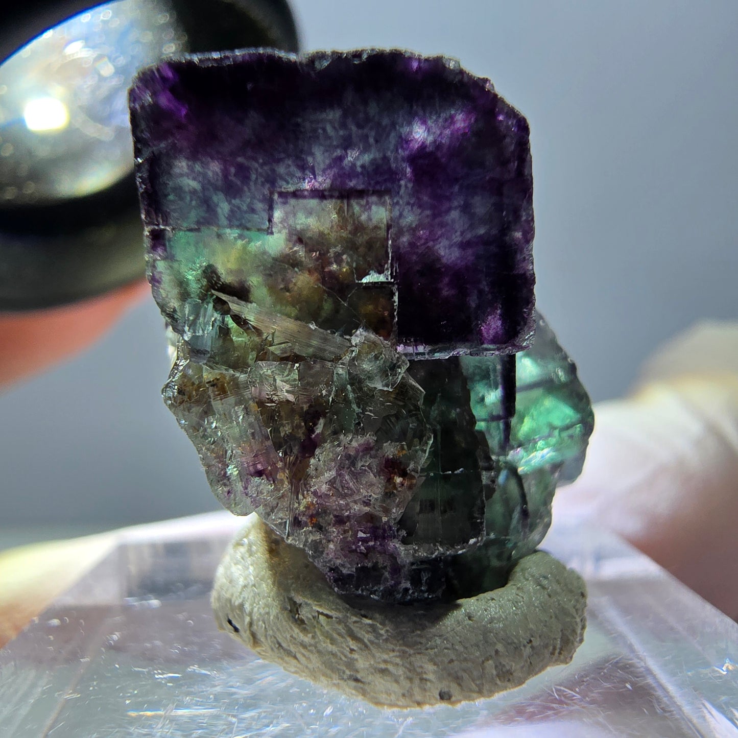 Spécimen de cube de fluorite fantôme, parqueté vert violet Okorusu, Namibie 25*19*15 mm