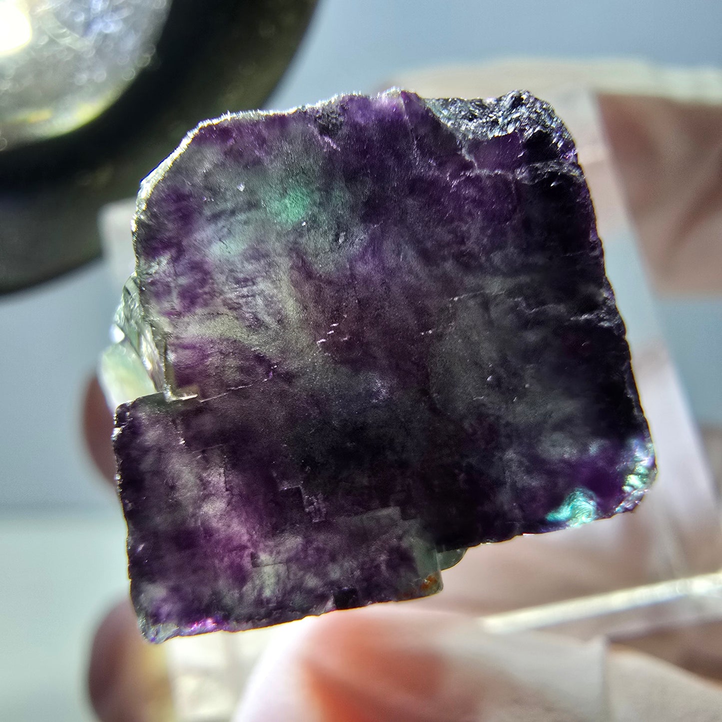 Spécimen de cube de fluorite fantôme, parqueté vert violet Okorusu, Namibie 25*19*15 mm