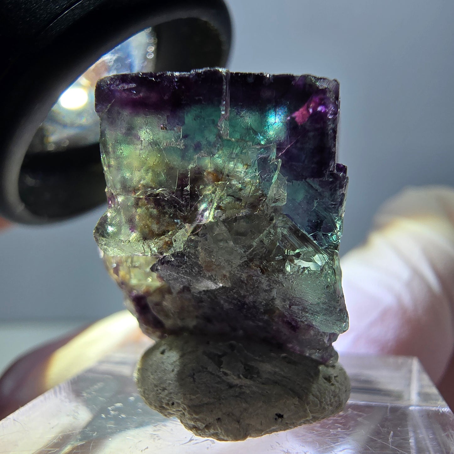 Spécimen de cube de fluorite fantôme, parqueté vert violet Okorusu, Namibie 25*19*15 mm