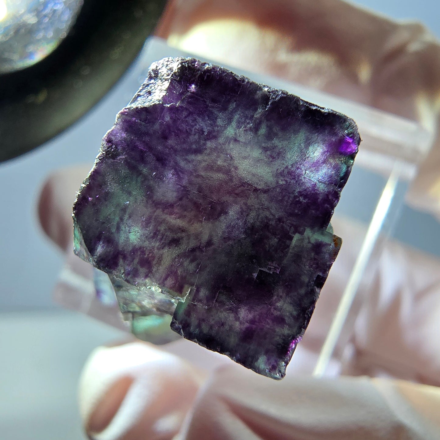 Spécimen de cube de fluorite fantôme, parqueté vert violet Okorusu, Namibie 25*19*15 mm