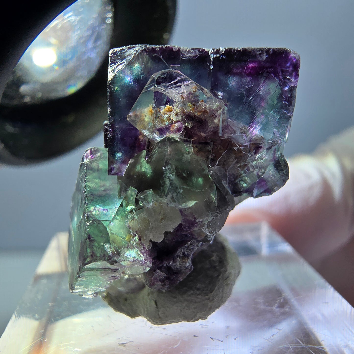 Spécimen de cube de fluorite fantôme, parqueté vert violet Okorusu, Namibie 25*19*15 mm